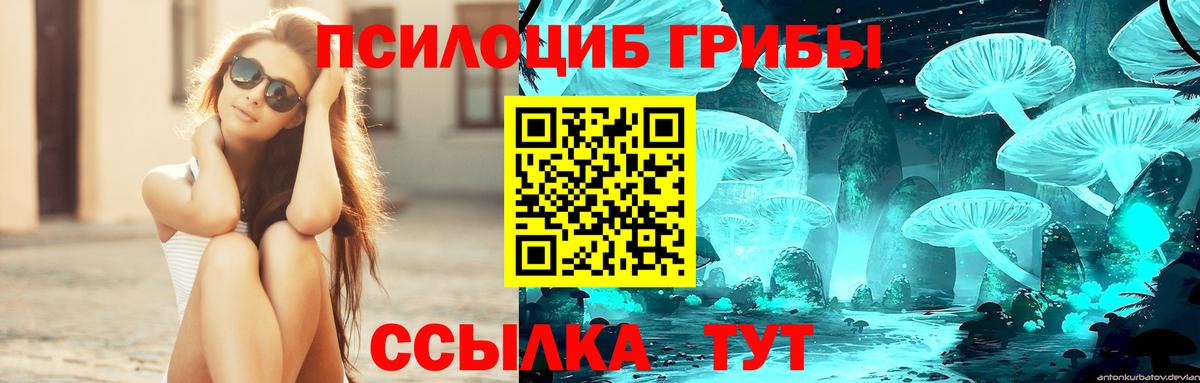 Серпухов  Галлюциногенные грибы Magic Shrooms  Вход с VPN 