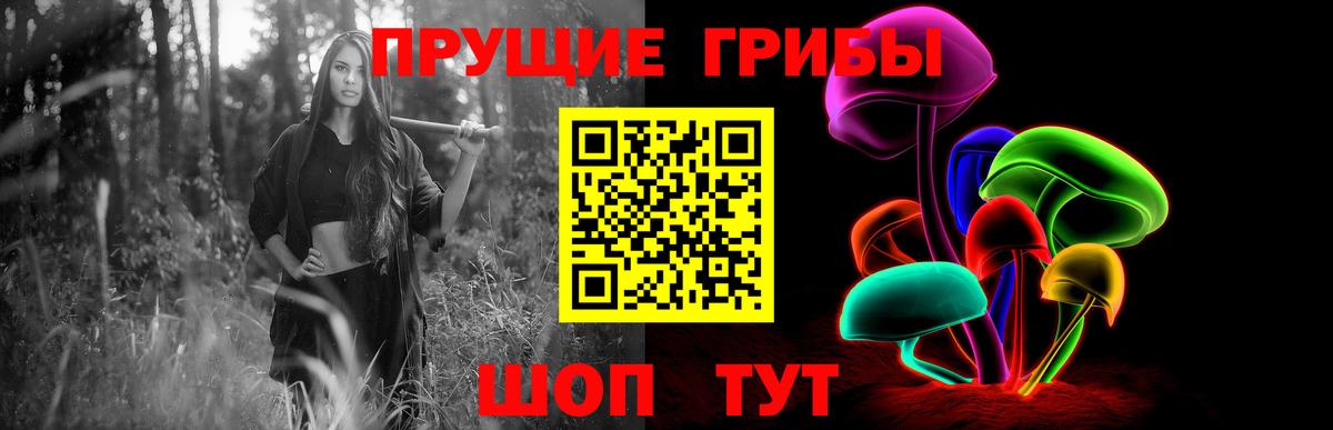 Псилоцибиновые грибы Psilocybine cubensis Серпухов